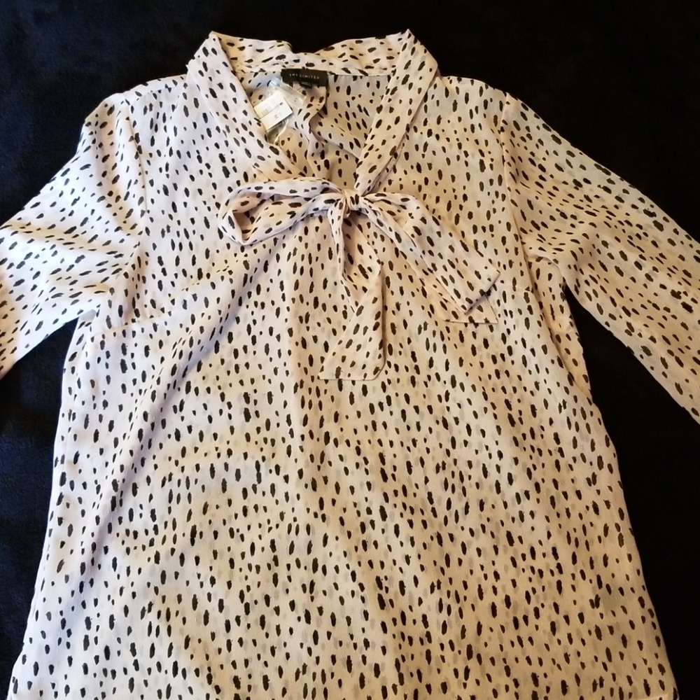 The Limited Blouse